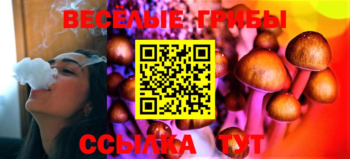 Псилоцибиновые грибы мицелий  Вход с VPN  Самара 